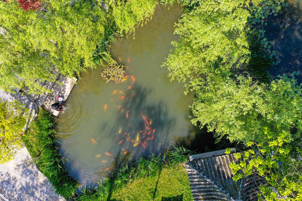 DJI_0941.jpg DJI_0941.jpg