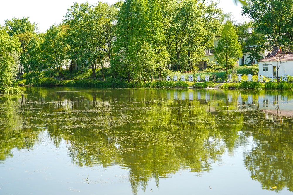 DSC00713.jpg DSC00713.jpg